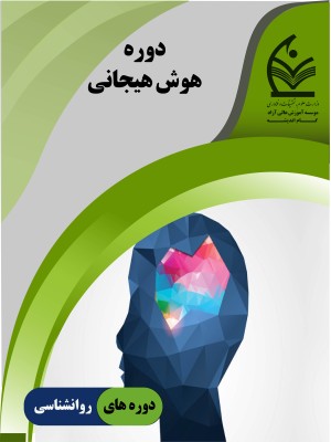 دوره هوش هیجانی